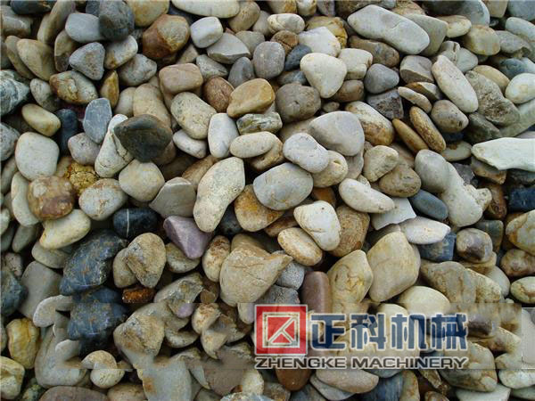 河卵石移动式樱花视频在线
